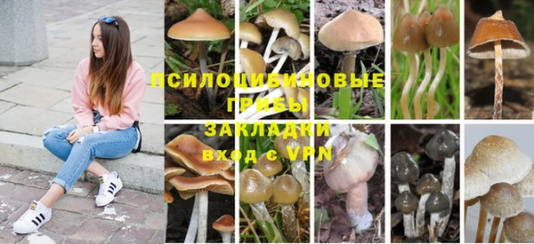 прущая мука Надым